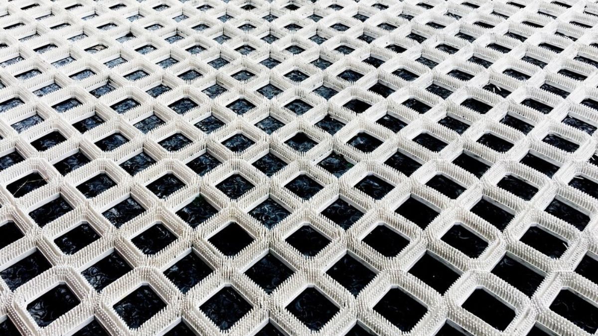pp biaxial geogrid