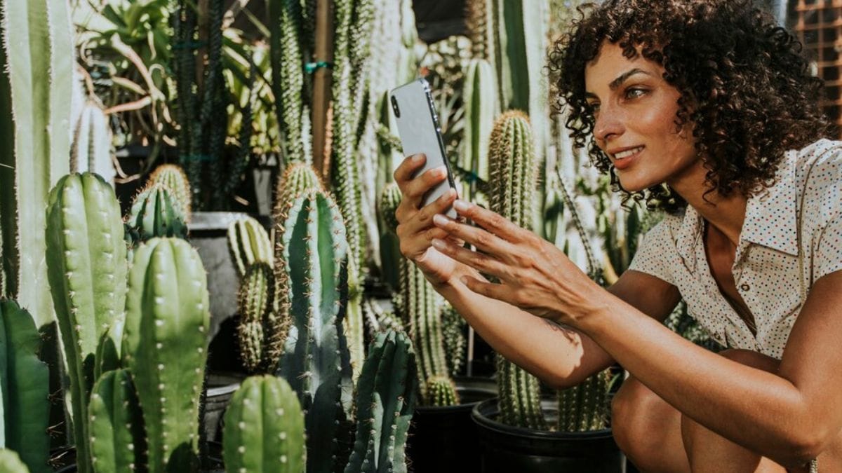 InfluencersGoneWild