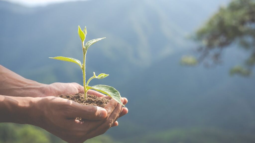 Ecology: Understanding the Web of Life