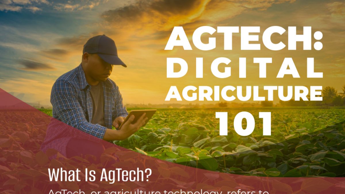 Greener Fields Ahead